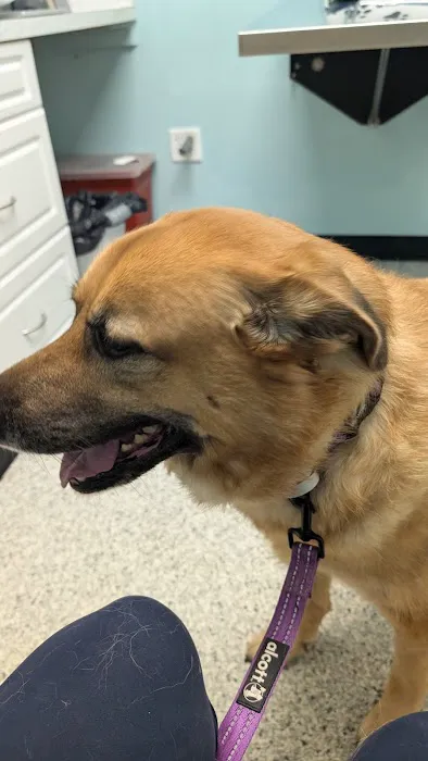 Second Chance Animal Services Community Veterinary Hospital Picture 8