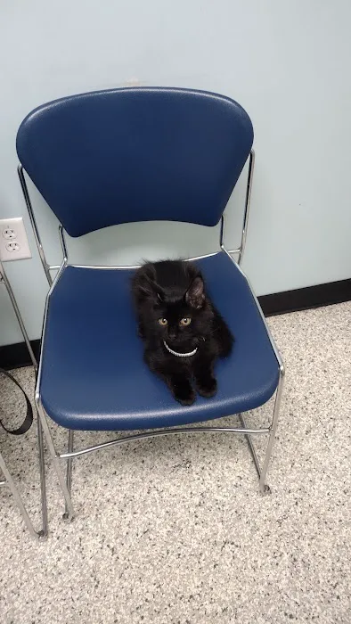 Second Chance Animal Services Community Veterinary Hospital Picture 6