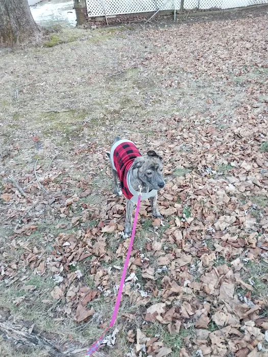 Second Chance Animal Services Community Veterinary Hospital Picture 10