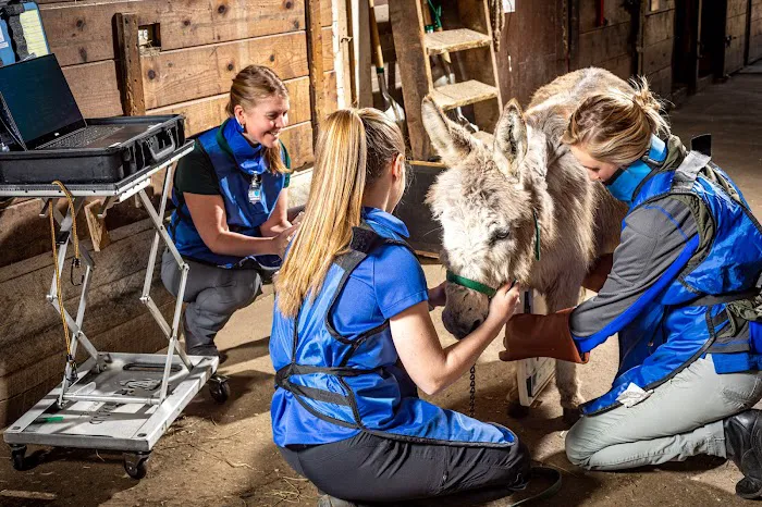 Equine Veterinary Services | EquidDoc Veterinary Services, LLC Picture 1