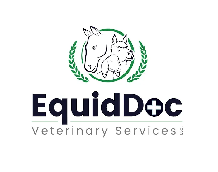 Equine Veterinary Services | EquidDoc Veterinary Services, LLC Picture 3