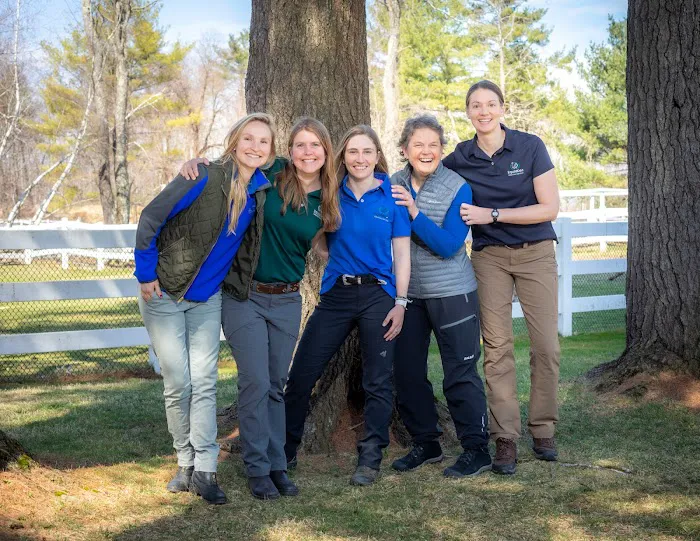 Equine Veterinary Services | EquidDoc Veterinary Services, LLC Picture 4