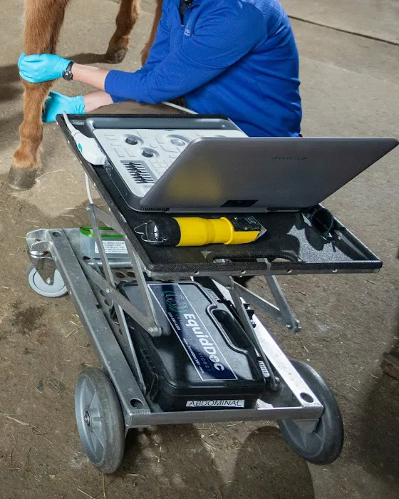 Equine Veterinary Services | EquidDoc Veterinary Services, LLC Picture 5