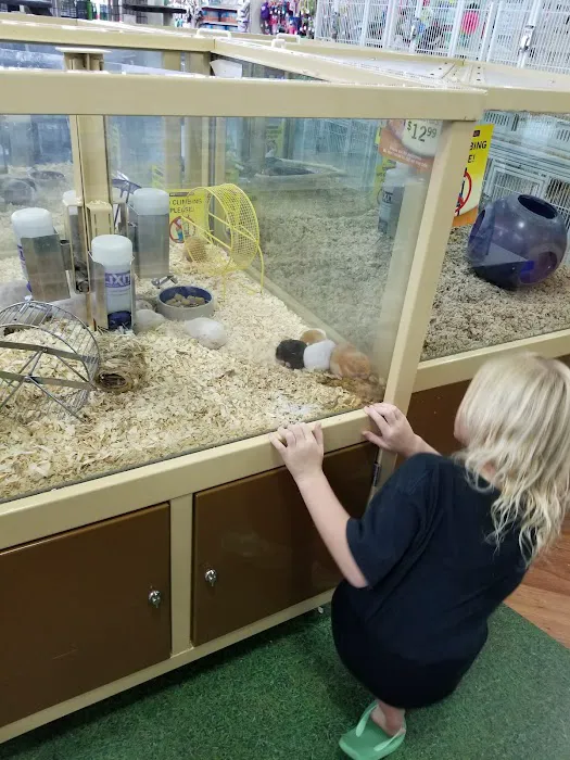 Pet Supermarket Picture 2
