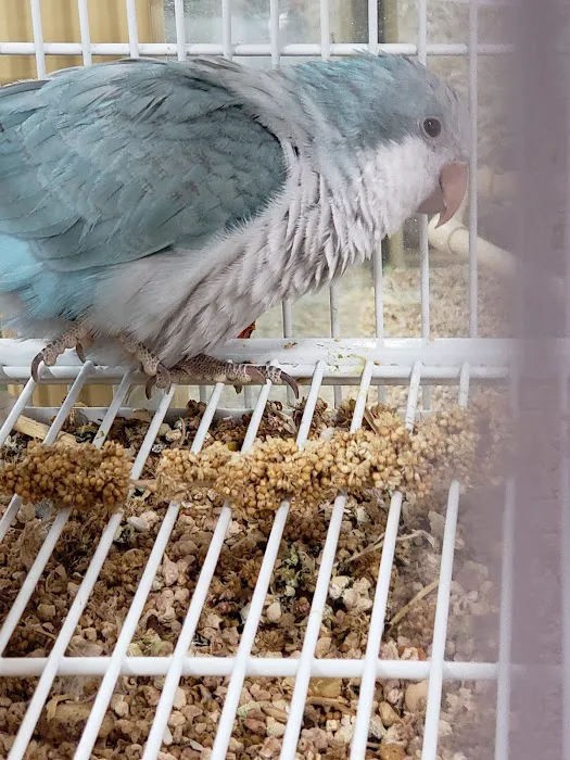 Pet Supermarket Picture 6