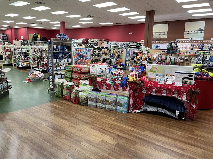 Pet Supermarket Picture 8