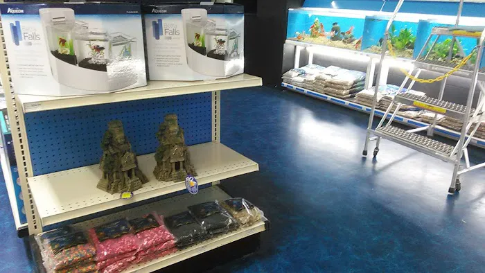 Pet Supermarket Picture 10