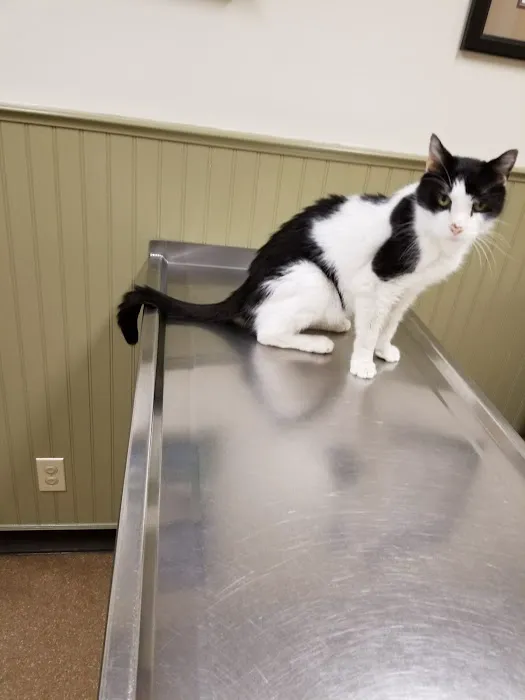 Post Road Veterinary Hospital Picture 1