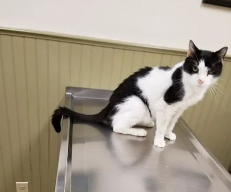 Post Road Veterinary Hospital