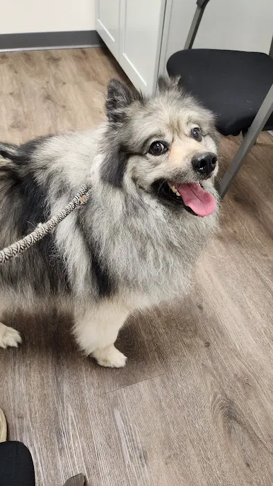 Post Road Veterinary Hospital Picture 2