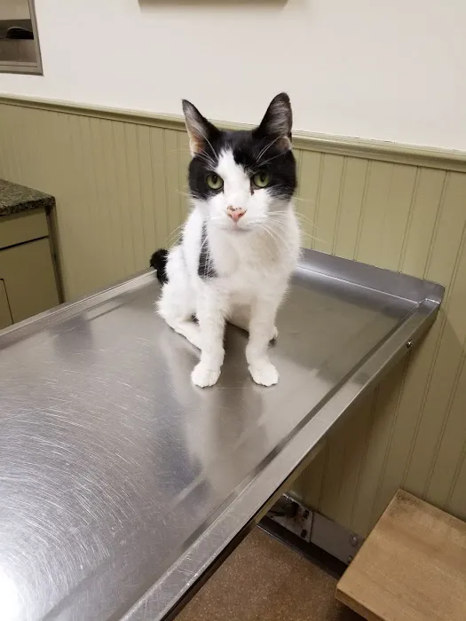 Post Road Veterinary Hospital Picture 5
