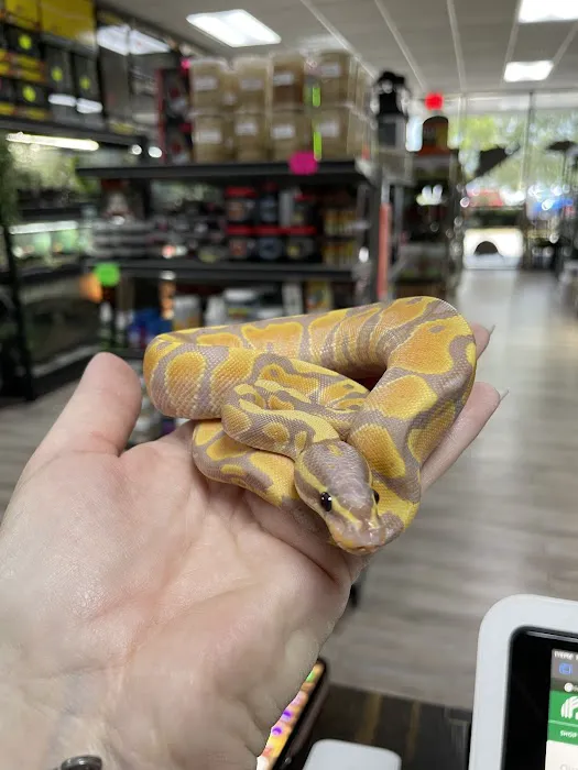 Agocs Exotics Picture 6