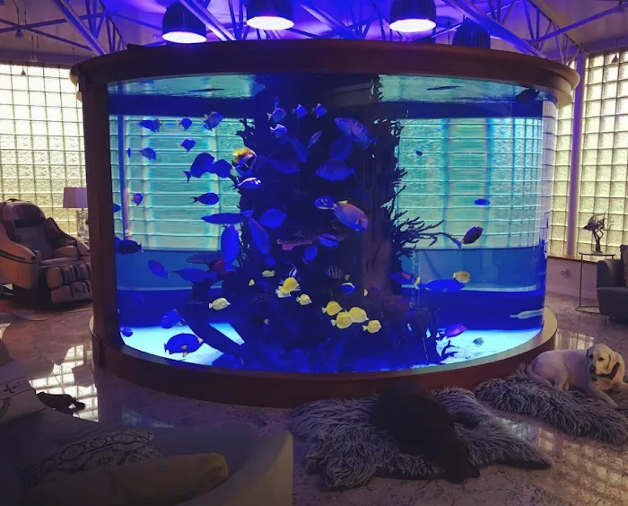 SeaQuatic Aquariums LLC. Picture 1