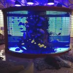 SeaQuatic Aquariums LLC.