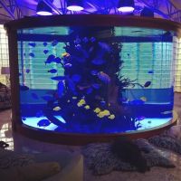 SeaQuatic Aquariums LLC. ico