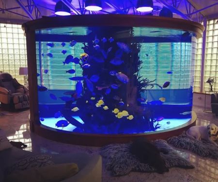 SeaQuatic Aquariums LLC.