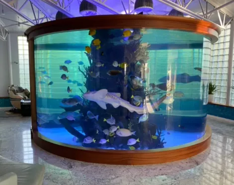 SeaQuatic Aquariums LLC. Picture 4