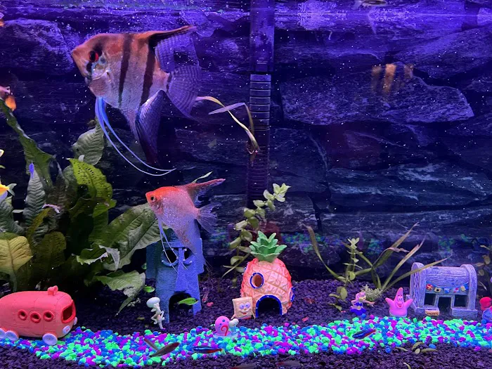 Aquarium & Reef Center Picture 6