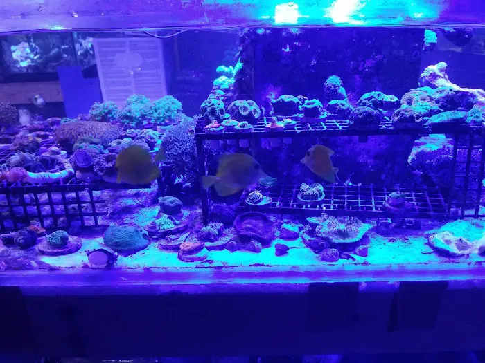 Aquarium & Reef Center Picture 1