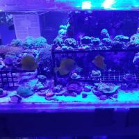 Aquarium & Reef Center ico