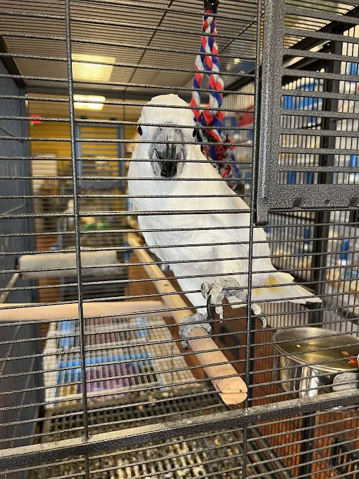 CAPE CORAL PETSHOP Picture 1