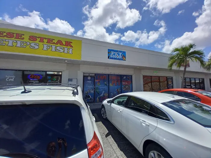 CAPE CORAL PETSHOP Picture 2