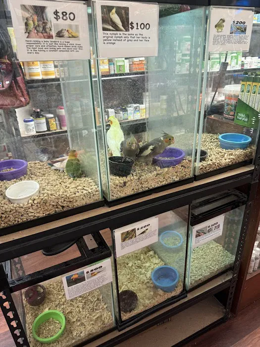 CAPE CORAL PETSHOP Picture 5