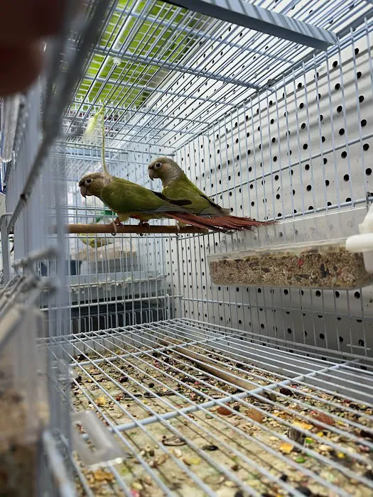 CAPE CORAL PETSHOP Picture 3