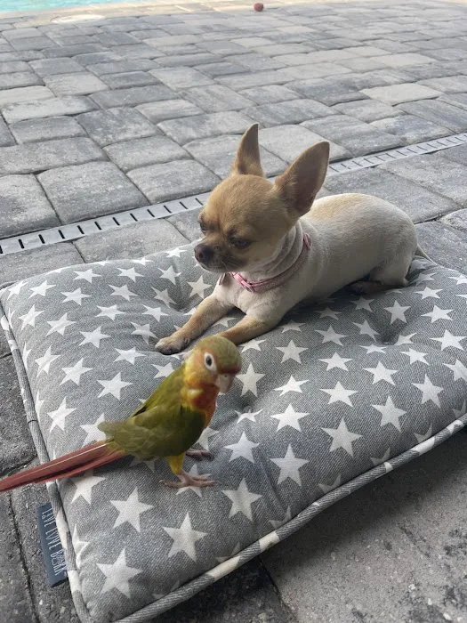 CAPE CORAL PETSHOP Picture 6