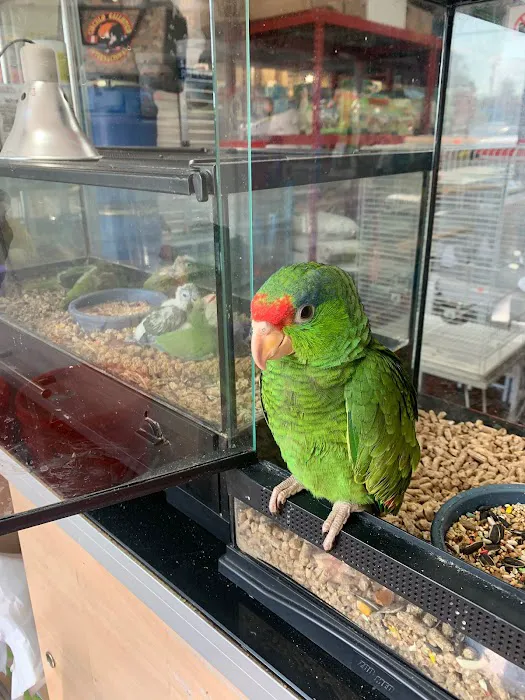 CAPE CORAL PETSHOP Picture 10