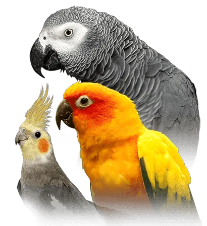 CAPE CORAL PETSHOP Picture 9