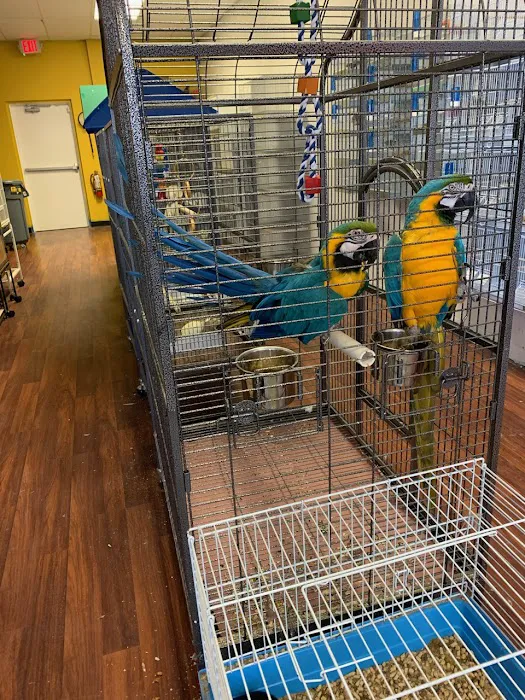 CAPE CORAL PETSHOP Picture 8