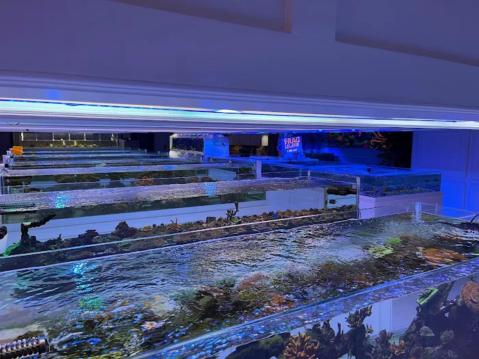 Seven Seas Aquatics Picture 5