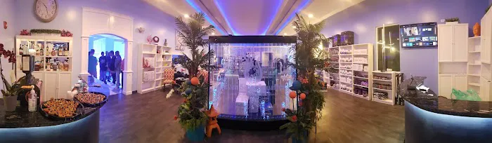 Seven Seas Aquatics Picture 3
