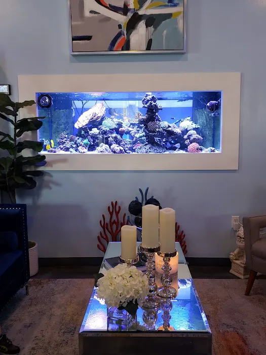 Seven Seas Aquatics Picture 8