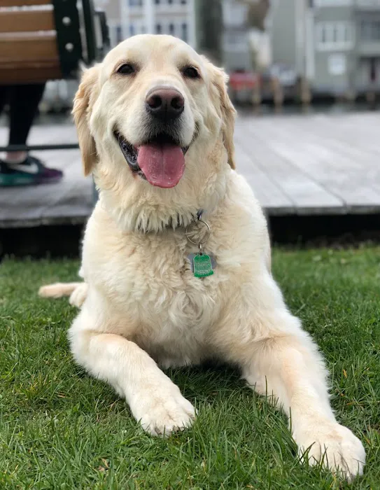 VCA Veterinary Specialists of CT Picture 6