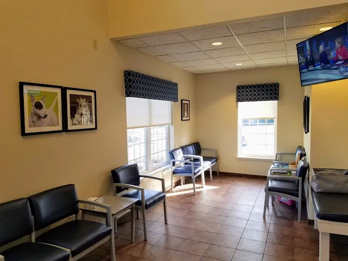 VCA Veterinary Specialists of CT Picture 9