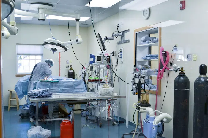 VCA Veterinary Specialists of CT Picture 10