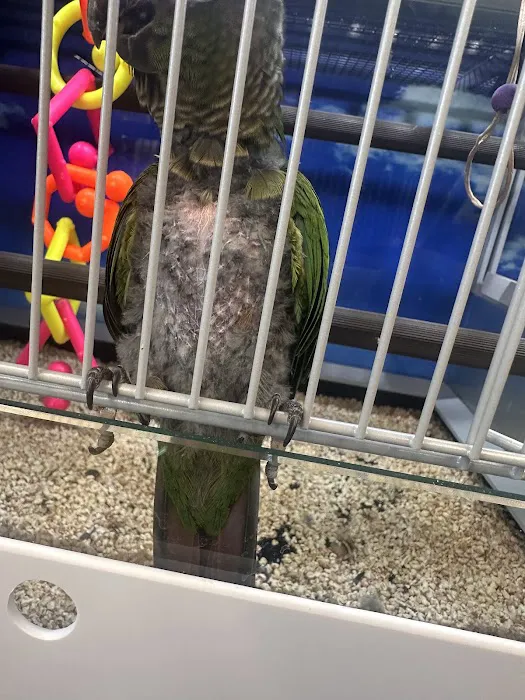 Pet Supermarket Picture 4