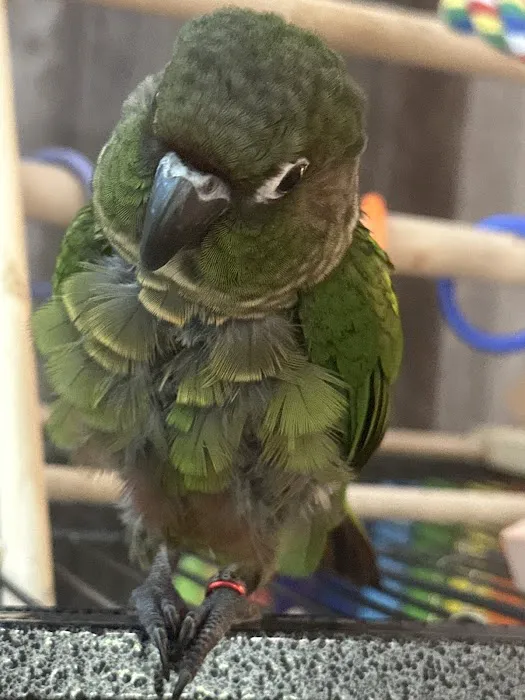 Pet Supermarket Picture 3