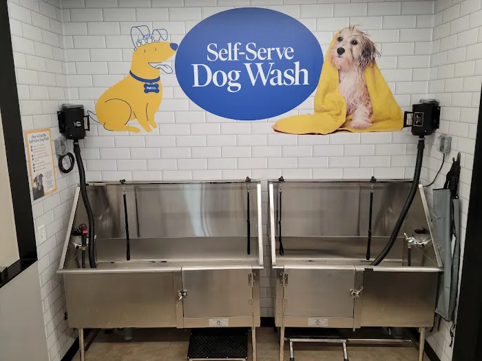 Pet Supermarket Picture 5