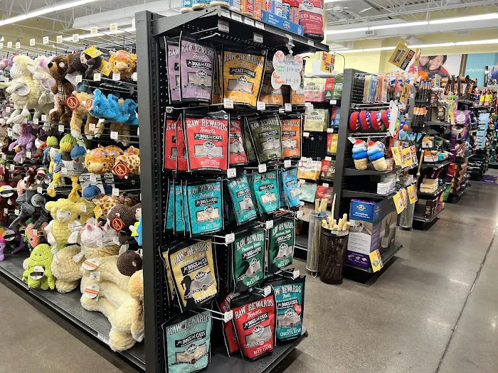 Hollywood Feed Picture 5