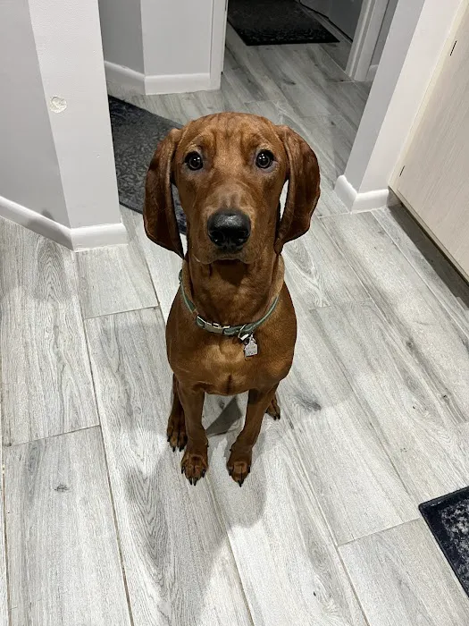 Hollywood Feed Picture 4