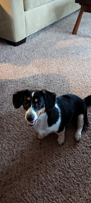 Hollywood Feed Picture 1