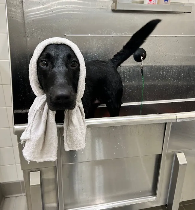 Hollywood Feed Picture 6