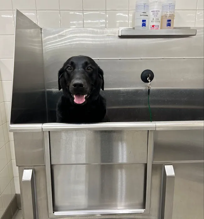 Hollywood Feed Picture 7