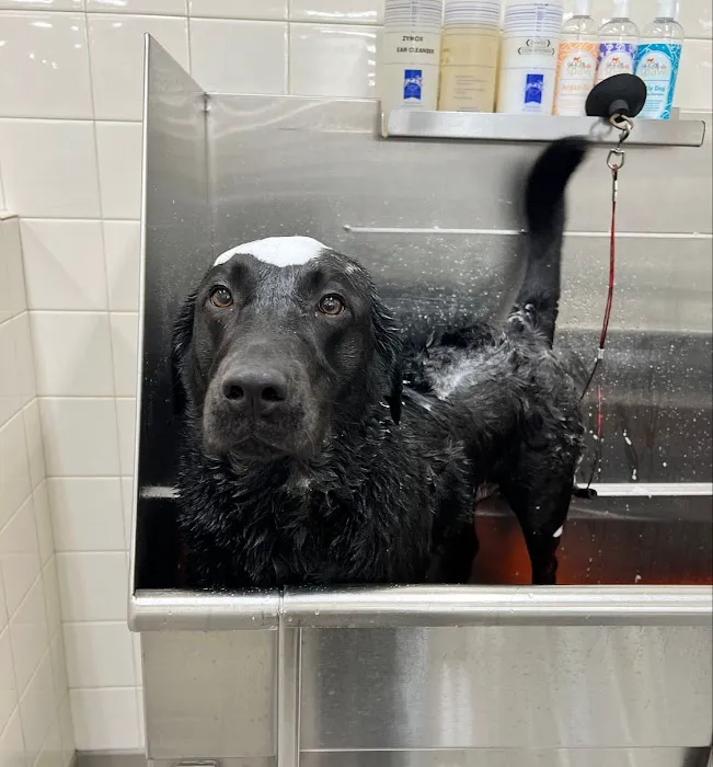 Hollywood Feed Picture 8