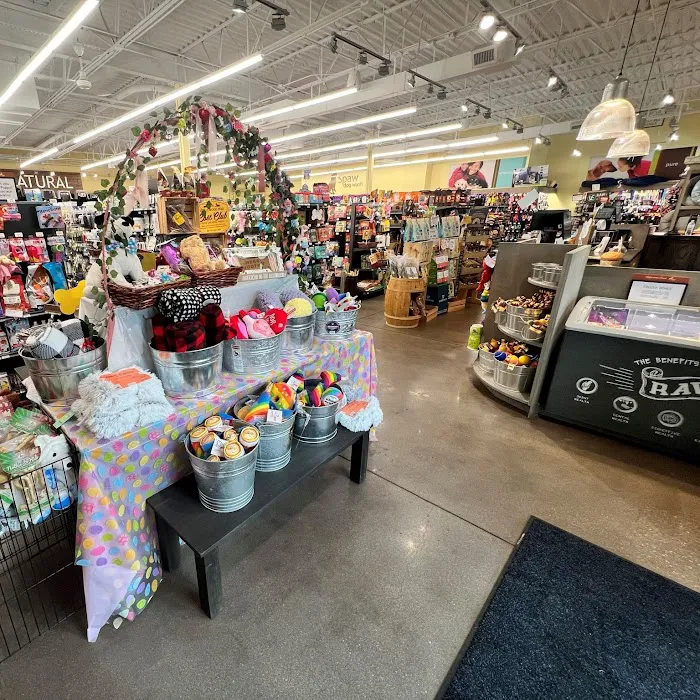 Hollywood Feed Picture 10