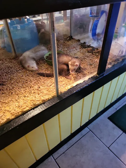 Discount Pets & Supplies Picture 1