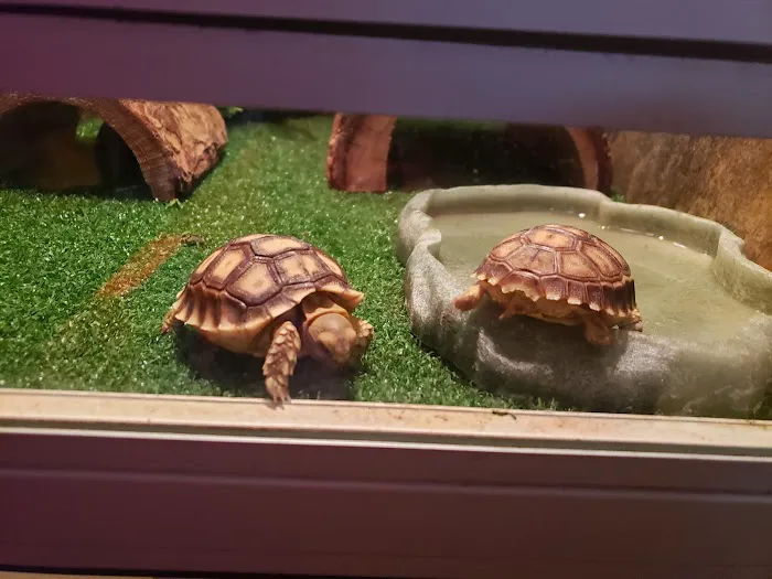 Discount Pets & Supplies Picture 6